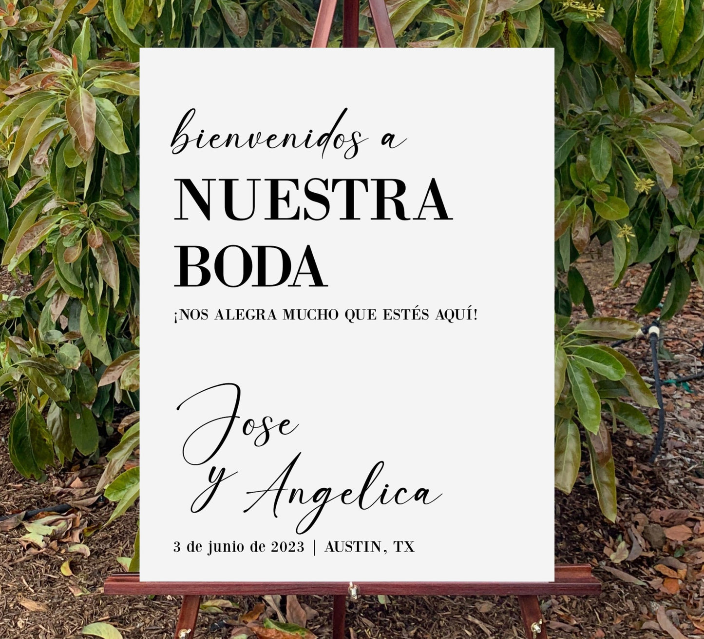 Spanish Wedding Welcome Sign Personalized, Bienvenidos a Nuestra Boda Wedding Venue Welcome Sign