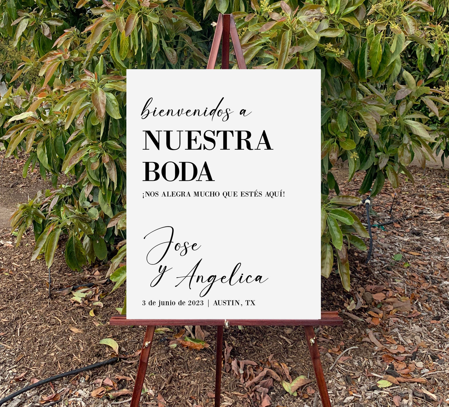 Spanish Wedding Welcome Sign Personalized, Bienvenidos a Nuestra Boda Wedding Venue Welcome Sign